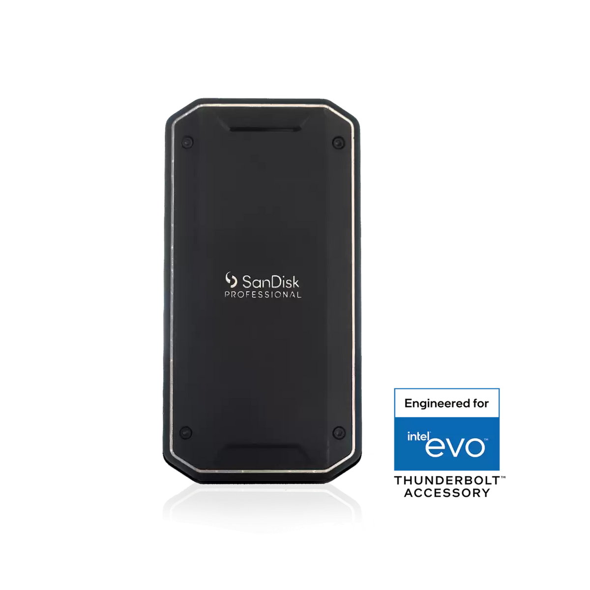 PRO-G40 SSD Thunderbolt 3 Portable SSD (exFAT)